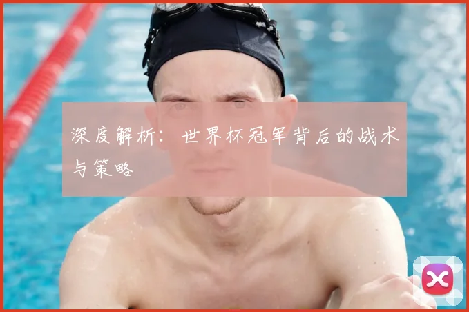 深度解析：世界杯冠军背后的战术与策略