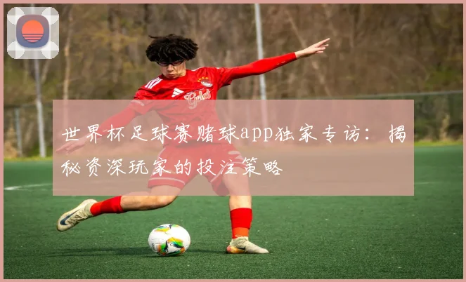 世界杯足球赛赌球app独家专访:揭秘资深玩家的投注策略