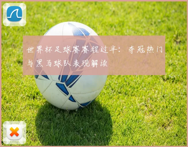 世界杯足球赛赛程过半：夺冠热门与黑马球队表现解读