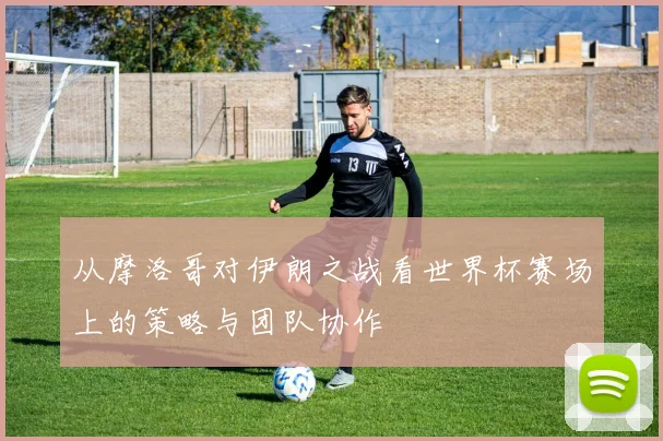 从摩洛哥对伊朗之战看世界杯赛场上的策略与团队协作