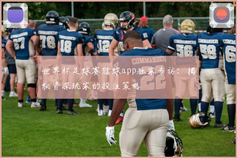 世界杯足球赛赌球app独家专访：揭秘资深玩家的投注策略