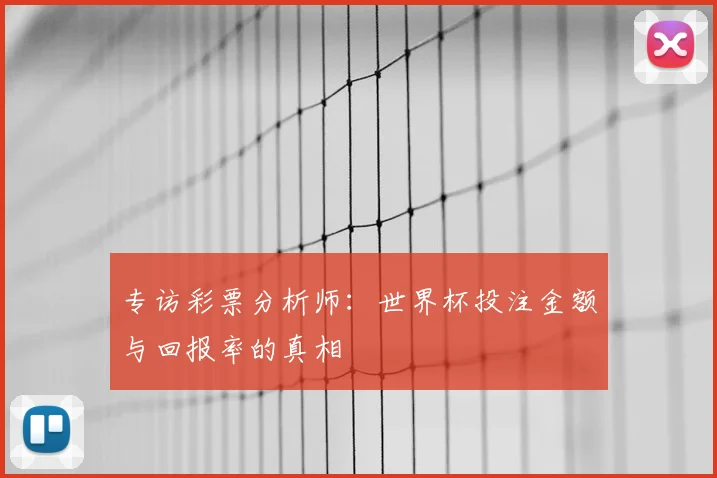 专访彩票分析师:世界杯投注金额与回报率的真相