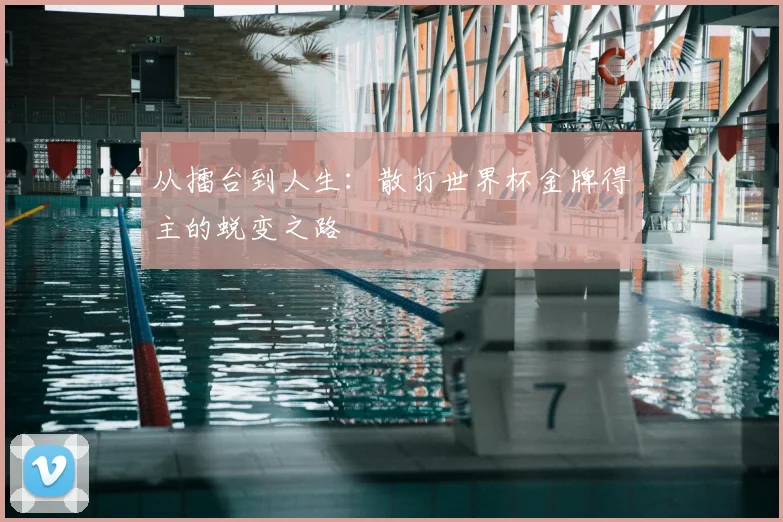 从擂台到人生:散打世界杯金牌得主的蜕变之路