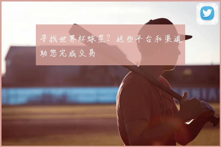 寻找世界杯球星?这些平台和渠道助您完成交易