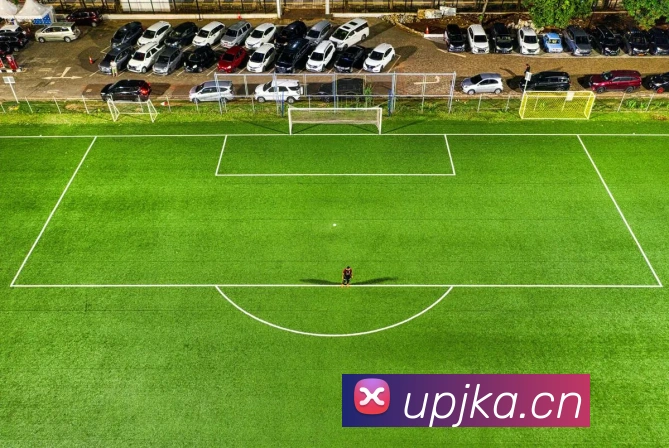 乐鱼官方在线登录入口平台生态图