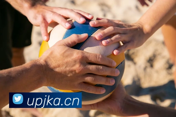 乐鱼官方在线登录入口APP 封面图